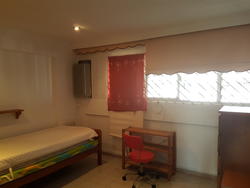 Blk 450 Tampines Street 42 (Tampines), HDB 4 Rooms #147896602